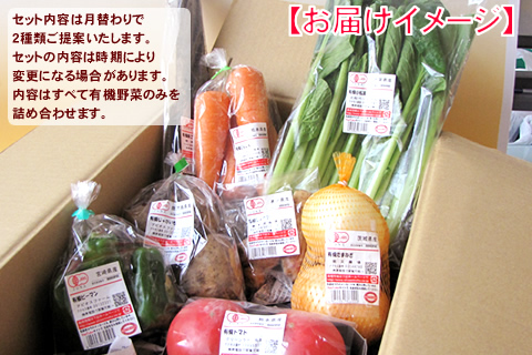 7月有機野菜セット