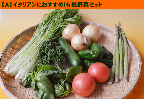 ６月の有機野菜セット