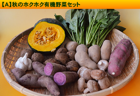 10月の有機野菜セット