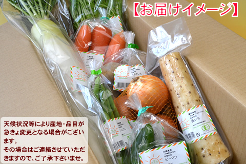 １０月の有機野菜セット