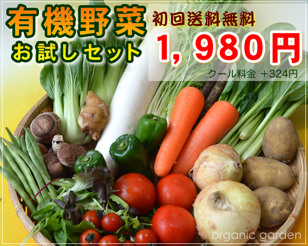 野菜セット
