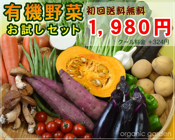 野菜セット
