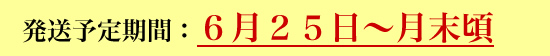 JAS有機 青梅