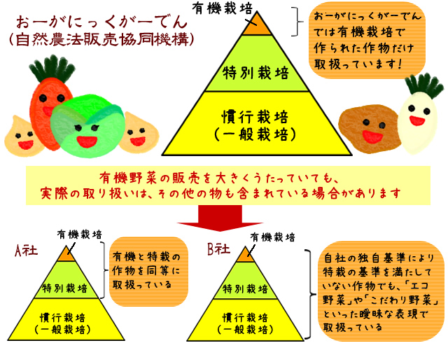 他社比較　ピラミッド図