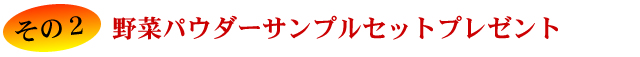 マルチジューサー＆クッカーベジフル*VEGEFULL*ZJ-B1