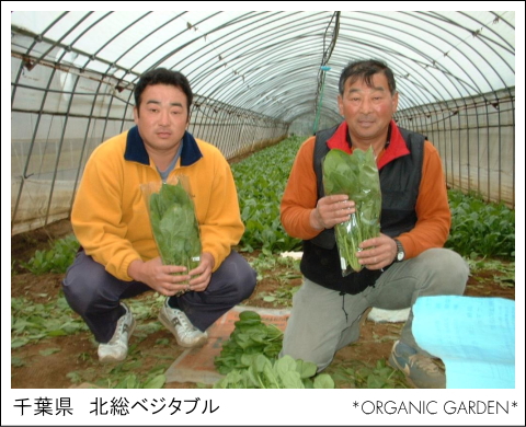 有機野菜生産者：北総ベジタブル