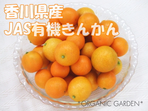 香川県産有機栽培金柑