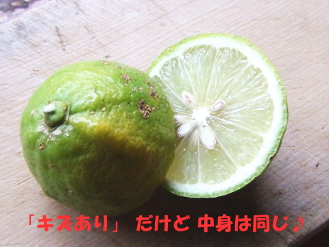 【訳あり】国産有機レモン
