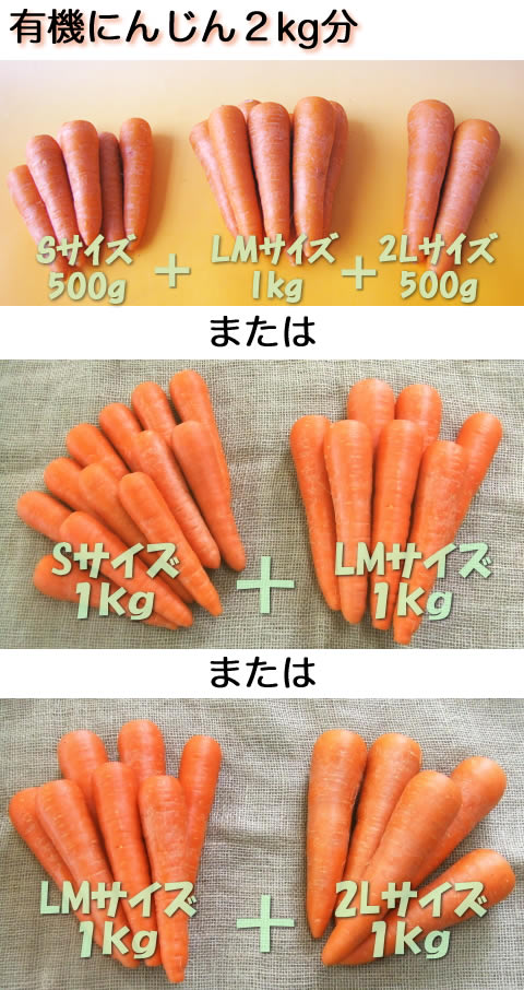 有機にんじん　お試しセット