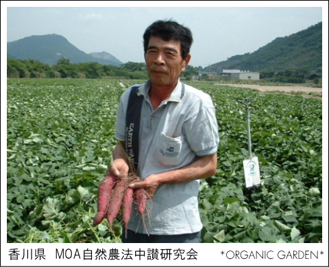 有機野菜生産者：MOA自然農法中讃研究会